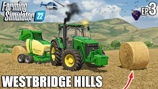 FIRST BALING Operation with KRONE, Collecting Sheep Grass | Farming Simulator 22 #3