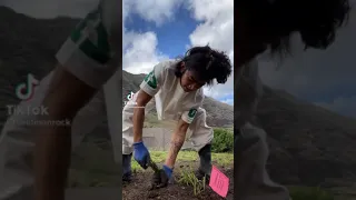 Bretman Rock pulling out weeds