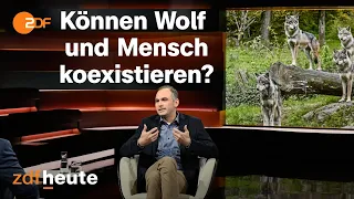 Immer mehr Wölfe: Landwirt wütend auf "naive" Politik | Markus Lanz vom 25. Oktober 2023