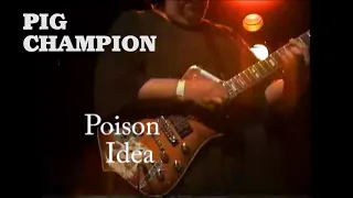 #poisonidea pig  champion from poison idea