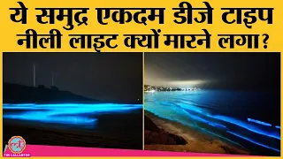 Mumbai में सुमद्र का ये नीला नजारा देख सब चौंके पर ये हुआ कैसे?