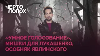 «Умное голосование», мишки для Лукашенко, особняк Явлинского / «Чертополох» // Михаил Конев