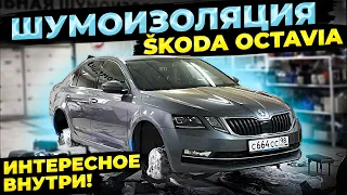 Сделал шумоизоляцию арок и дверей SKODA OCTAVIA A7FL (StP)