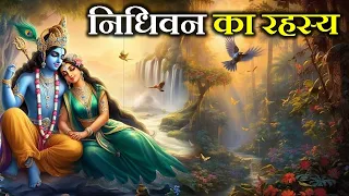 निधिवन का रहस्य जानकार चौंक जाओगे। MYSTERY OF NIDHIVAN AND KRISHNA.