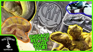 CHICAGO REPTILE HOUSE! (Complete Reptile Shop Tour)