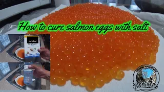 HOW TO CURE SALMON EGGS WITH SALT