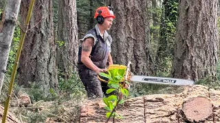 Running a chainsaw