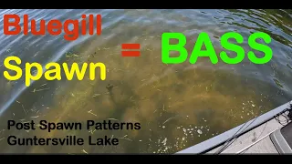 How to Catch BASS on Bream Beds- Post Spawn Tournament Patterns Part 2