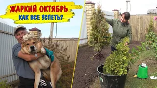 Жаркий октябрь! Паша пашет, да и я не отстаю. Вот так создаётся красота!