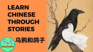 334 Learn Chinese Through Stories 乌鸦和鸽子 A Crow And A Pigeon