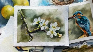 Рисуем ветку сливы акварелью. Рисование для начинающих.  Watercolor painting for beginners.