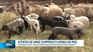 atentie de unde cumparati carnea de miel