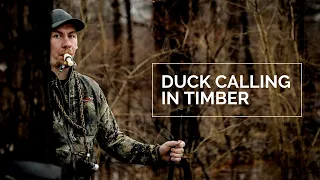 How to Duck Call in the Timber