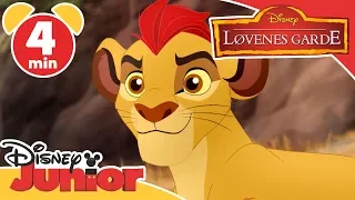 Løvenes garde | Det uttørkete vannhullet 🦓- Disney Junior Norge