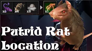 Putrid Rat Location V Rising (How to Summon)