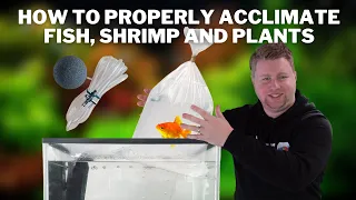 How to Properly Acclimate and Add Fish, Shrimp & Plants to Your Aquarium when Ordering Online