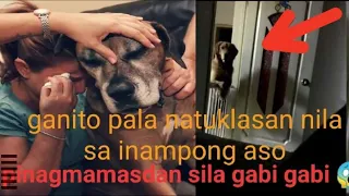 kakaibang aso hindi natutulog, pinag mamasdan sila gabi