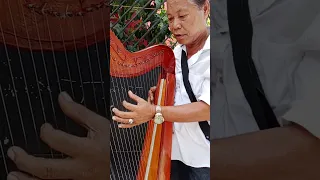 Kung sakaling Ikaw ay lalayo...Harp