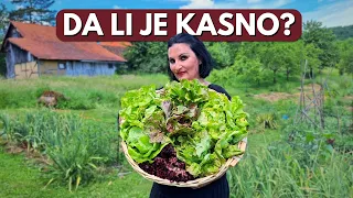 Kada Je PRAVO Vreme Da Započnete Svoju Baštu?