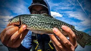 TIGER TROUT Catch & Cook on my Raft | Taste Test