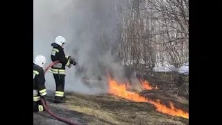 08 06 18 сухая трава и мусор