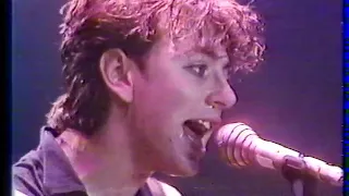 Stray Cats live in Paris @ Houba Houba, 1982