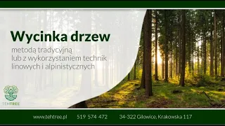 Wycinka i pielęgnacja drzew - Serwis Drzewny Tehtree