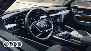 Audi connect Navigation & Infotainment