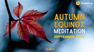 Autumn Equinox Guided Meditation September 2023 I Embrace your Wildness