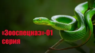 «Зооспецназ»-01 серия