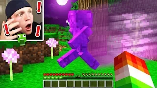 PURPLE STEVE SPOTTED IN MINECRAFT! {NOT CLICKBAIT}