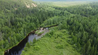 Хариус/Ленок/Рыбалка на таёжной речке