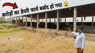 करोडों का Buffalo Farm बंद हो रहा हैं 😩 अमूल डेयरी के चक्कर में 😭