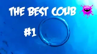 THE BEST COUB #10