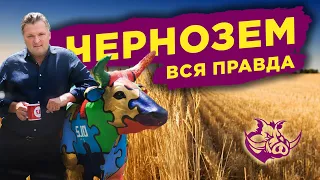 Правда о земле Украины / Сколько стоит земля? / Зачем нужен рынок земли?