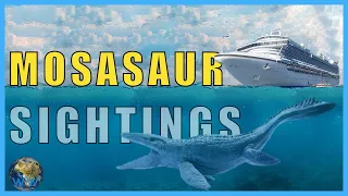 Mosasaur Sightings (re-upload)