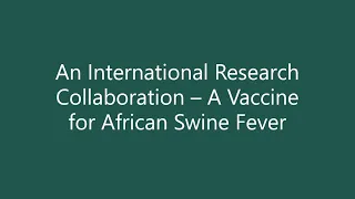An International Research Collaboration – A Vaccine for African Swine Fever