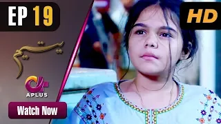 Yateem - EP 19 | Aplus| Sana Fakhar, Noman Masood, Maira Khan | Pakistani Drama | C2V1