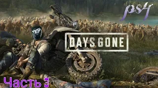 DAYS GONE/ЖИЗНЬ ПОСЛЕ /  ПРОХОЖДЕНИЕ/Часть 3/  ps4/ СТРИМ