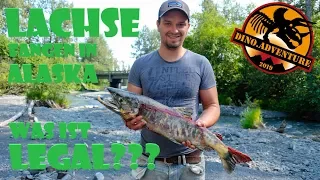 Alter Lachs! | Lachse fangen in Alaska | was ist verboten und was legal? | S1▪ E16