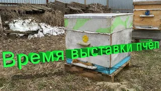 Профессор Кашковский про время выставки пчёл