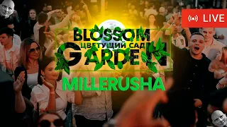 📹 Millerusha - "Blossom Garden" Fantomas Rooftop | Live 22.07.2022