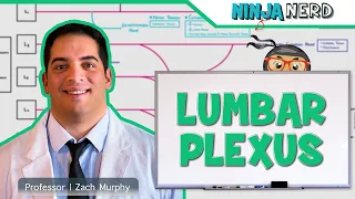 Neurology | Lumbar Plexus