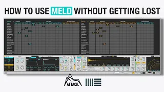 How to use MELD in Live 12 to make a track from scratch @Ableton