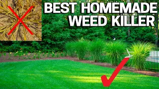 Best Homemade Organic Weed Control - Natural & Safe Vinegar Boosted