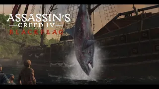 ASSASSIN'S CREED IV - Black Flag - Naval Hunting Great White Shark [PS5 - 2023]