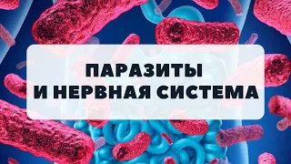 Паразиты и нервная система