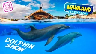 Best Dolphin Show in AQUALAND Costa Adeje