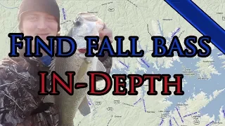 Where To Find Fall Bass. IN-Depth Fall Transition Guide For Beginners