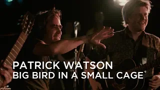 Patrick Watson | Big Bird in a Small Cage | First Play Live